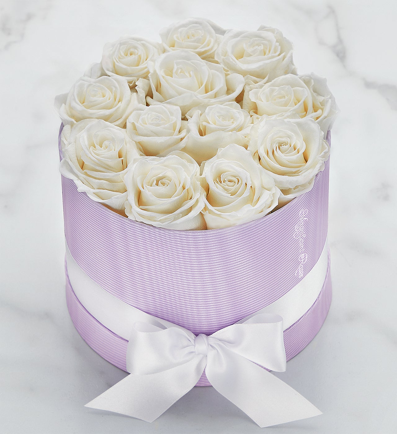 Magnificent Roses® Preserved White Roses 